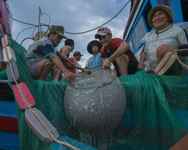 Ngư dân Cô Tô